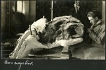 039-01: Levi Sternberg Working on a Fossil by George Fryer Sternberg 1883-1969