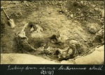 042-01: Centrosaurus Skull by George Fryer Sternberg 1883-1969