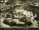 043-02: Scattered Skeleton by George Fryer Sternberg 1883-1969