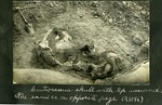 043-03: Centrosaurus Skull by George Fryer Sternberg 1883-1969
