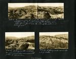 070-00: Four Black and White Photographs by George Fryer Sternberg 1883-1969