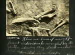 083-03: Bones Gathered in a Heap by George Fryer Sternberg 1883-1969