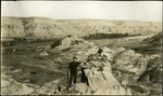 087-01: Hawks Nest on a Rock Formation by George Fryer Sternberg 1883-1969