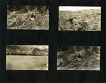 088-00: Four Black and White Photographs by George Fryer Sternberg 1883-1969