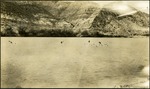 088-03: Birds on a River by George Fryer Sternberg 1883-1969