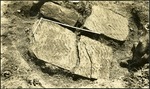 089-01: Slabs of Ripple Marks by George Fryer Sternberg 1883-1969