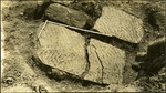 089-02: Slabs of Ripple Marks by George Fryer Sternberg 1883-1969