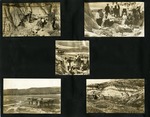 096-00: Five Black and White Photographs by George Fryer Sternberg 1883-1969