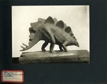 003-00: Model of a Stegosaurus - Gilmore's Models by George Fryer Sternberg 1883-1969