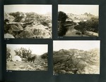 019-00: Four Black and White Photographs by George Fryer Sternberg 1883-1969