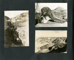 024-00: Three Black and White Photographs by George Fryer Sternberg 1883-1969