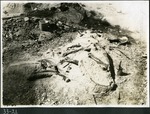 036-02: 33-21 Mound of Exposed Bone Before Jacketing by George Fryer Sternberg 1883-1969