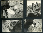 043-00: Four Black and White Photographs at an Excavation Site by George Fryer Sternberg 1883-1969