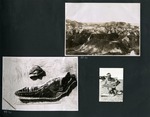 047-00: Three Black and White Photographs by George Fryer Sternberg 1883-1969