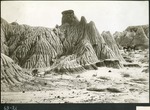 057-01: 63-21 Sheer Outcrops, Two Mules, and Barnaum Brown by George Fryer Sternberg 1883-1969