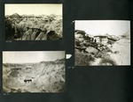 058-00: Three Black and White Photographs by George Fryer Sternberg 1883-1969