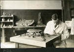 063-02: 7-22 George Sternberg Preparing Turtle Fossil for Display by George Fryer Sternberg 1883-1969
