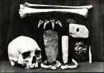 071-01: Skull, Bones, and Rocks by George Fryer Sternberg 1883-1969