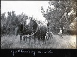 081-05: Gathering Wood by George Fryer Sternberg 1883-1969