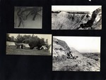 089-00: Four Black and White Photographs by George Fryer Sternberg 1883-1969