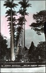 098-02: Rio de Janeiro, Botanical Garden by George Fryer Sternberg 1883-1969