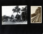 100-00: Two Black and White Photographs by George Fryer Sternberg 1883-1969