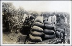 102-03: State of São Paulo, Brazil. Coffee Bags with Pick Up Driver by George Fryer Sternberg 1883-1969