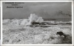 111-01: San Jorge Gulf View from Comodoro Rivadavia by George Fryer Sternberg 1883-1969