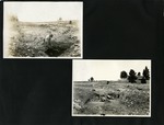 118-00: Two Black and White Photographs by George Fryer Sternberg 1883-1969