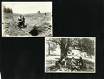 119-00: Two Black and White Photographs by George Fryer Sternberg 1883-1969