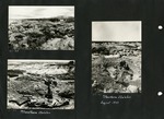 054_00: Three Black and White Photographs by George Fryer Sternberg 1883-1969