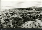 054_01: 22-27 Titanothere Skeleton Excavation Site by George Fryer Sternberg 1883-1969