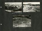 063_00: Three Black and White Photographs by George Fryer Sternberg 1883-1969