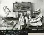 066_01: 68-28 Sternberg in Hays shop with Prepared Specimens by George Fryer Sternberg 1883-1969