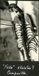 079_03: "Fake" skeleton? Composite by George Fryer Sternberg 1883-1969