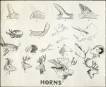 082_03: Horns by George Fryer Sternberg 1883-1969
