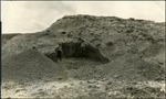 094_03: Excavation Site Near Cut Bank, Montana by George Fryer Sternberg 1883-1969