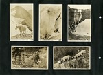 102_00: Five Black and White Photographs by George Fryer Sternberg 1883-1969