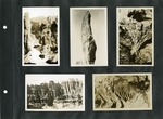 105_00: Five Black and White Photographs by George Fryer Sternberg 1883-1969