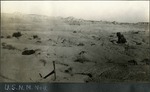107_02: U.S.N.M. Neg Searching the Land by George Fryer Sternberg 1883-1969