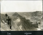 117_01: 51-28 Cooke on Oligocene Rock Beds by George Fryer Sternberg 1883-1969