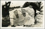 130_04: Footprints by George Fryer Sternberg 1883-1969