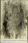 011_01: Helictite Formations in King's Palace by George Fryer Sternberg 1883-1969