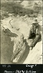 043_01: 44-31. Mosasaur Skull and Vertebrae by George Fryer Sternberg 1883-1969