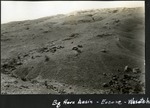 055_01: Big Horn Basin and Wasatch Range by George Fryer Sternberg 1883-1969