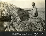 061_01: C.W. Gilmore in Bighorn Basin, Wyoming by George Fryer Sternberg 1883-1969