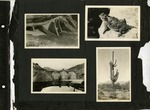 049_00: Four Black and White Photographs at Arizona by George Fryer Sternberg 1883-1969