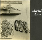 084_02: Chalk Bed Fossils by George Fryer Sternberg 1883-1969