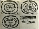 088_01: Assortment of Arrowheads by George Fryer Sternberg 1883-1969