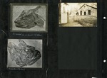 090_00: Three Black and White Photographs of Fossils and a Building by George Fryer Sternberg 1883-1969